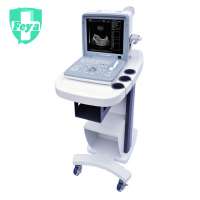 FY-SS-4 Portable Diagnostic Ultrasound Usg Machine Price