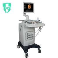 FY-iVis30 Economic Trolley 4D Color Doppler Ultrasound Machine