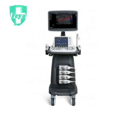 FY-S22 3D/4D Color Doppler Ultrasound Ultrasound Machine