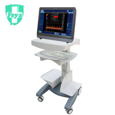 FY-C8V 22" Touch Screen Laptop Color Doppler VET Ultrasound Machine (64 channel)