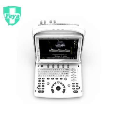 FY-ECO3 EXPERT 12" LED Advanced Portable B&W Ultrasound Scanner